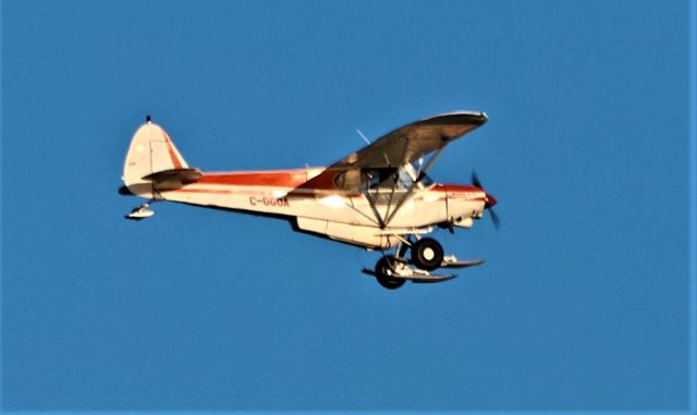 C-GGOA — - C-GGOA  Piper PA-18 150 survolant la ville de Lavaltrie QC. le 09-12-2022 à 14:56