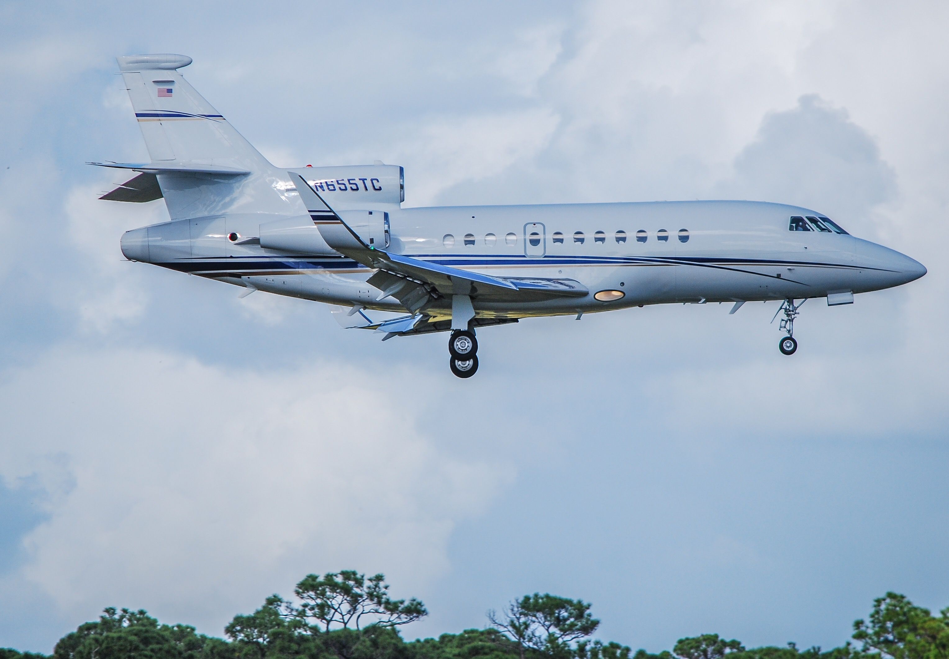 Dassault Falcon 900 (N655TC)
