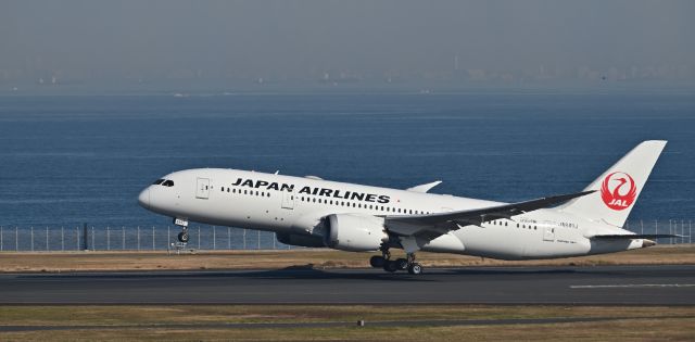 Boeing 787-8 (JA849J) - 10.Dec.2023br /RWY34R