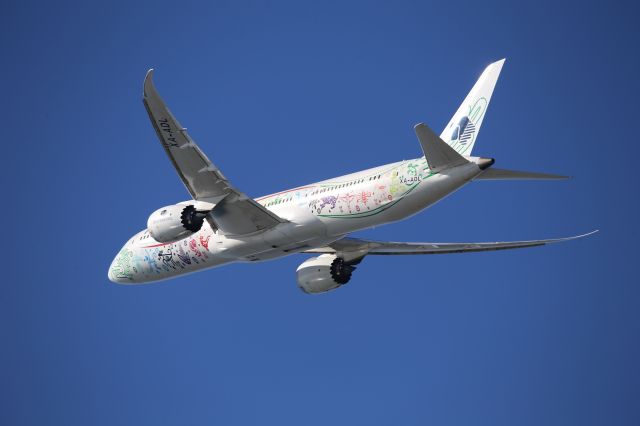 Boeing 787-9 Dreamliner (XA-ADL)