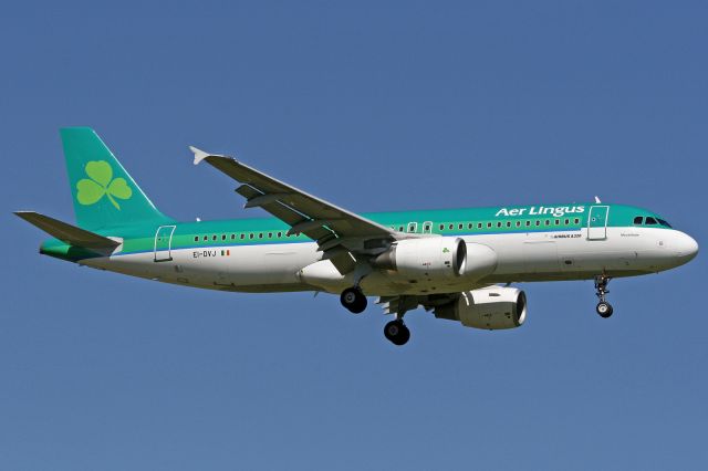 Airbus A320 (EI-DVJ)