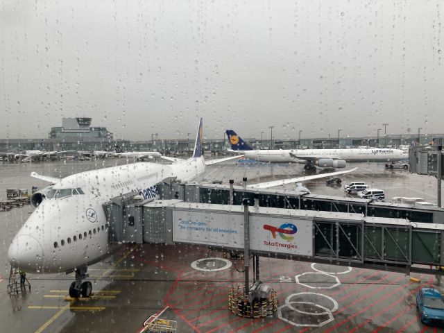 BOEING 747-8 (D-ABYS) - LH 747-8 that took me to EWR on a rainy day UPSTAIRS in Biz Class! 