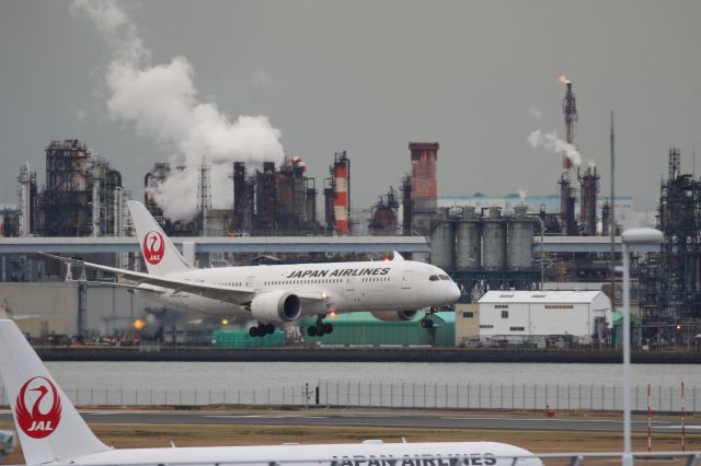 Boeing 787-8 (JA825J) - 25 December 2016:SGN-HND.