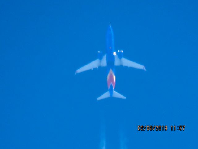 Boeing 737-800 (N8513F)