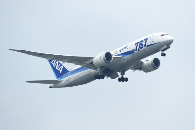 Boeing 787-8 (JA814A)