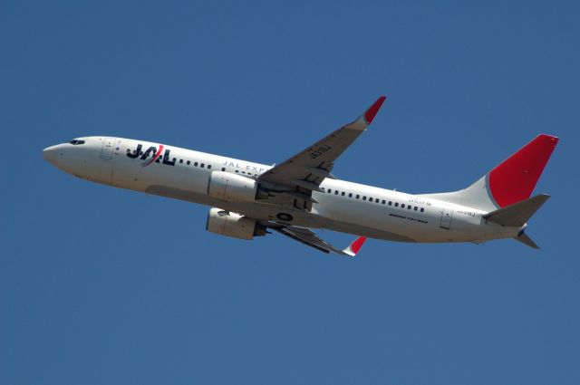 Boeing 737-800 (JA319J) - 2013-05-17