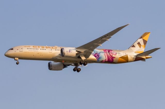 Boeing 787-9 Dreamliner (A6-BLR)