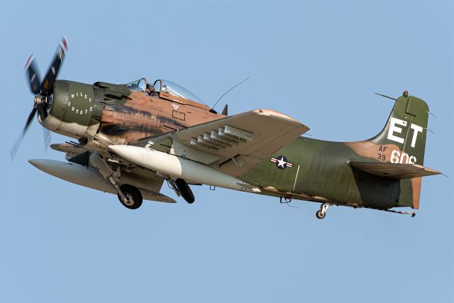 Douglas AD Skyraider (AMU39606)