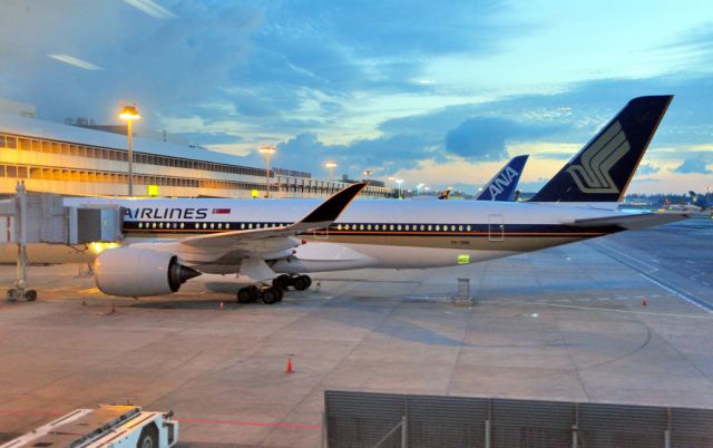 Airbus A350-900 (9V-SMB) - At sunrise