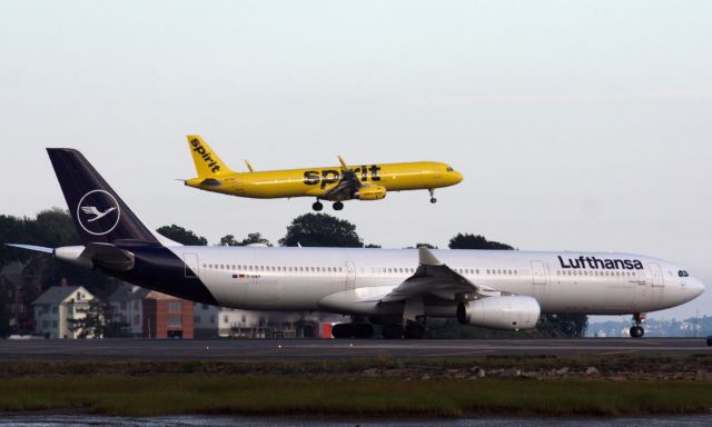 Airbus A330-300 (D-AIKP)