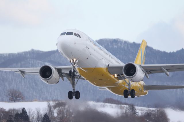 Airbus A320 (JA07VA) - February 8th 2018:HKD-NRT.