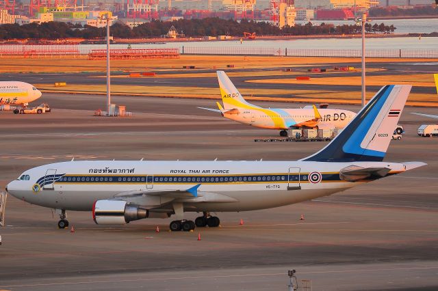 Airbus A310 (HS-TYQ)