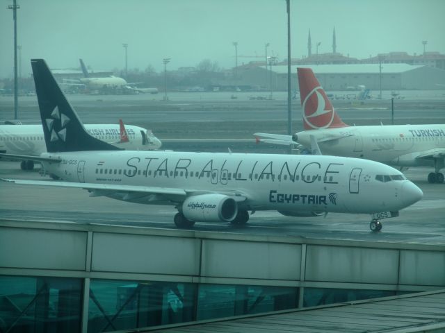 Boeing 737-700 (SU-GCS) - Am 28.02.2015 vom Gate 217 des Airports IST aus fotografiert - B737-800(WL) SU-GCS der Egyptair in den Farben der STAR ALLIANCE.