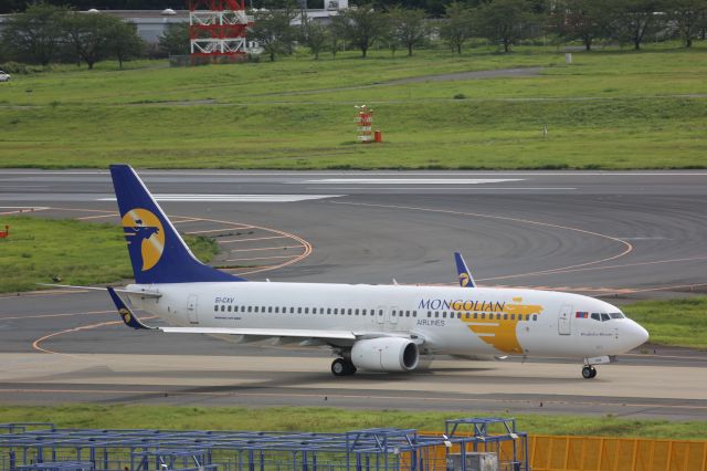 Boeing 737-800 (EI-CXV)