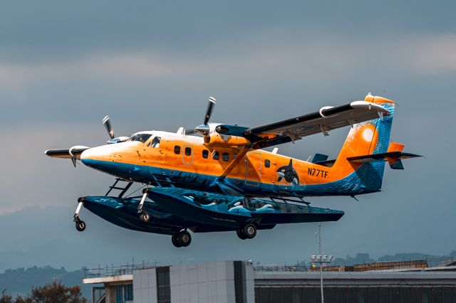 De Havilland Canada Twin Otter (N77TF)