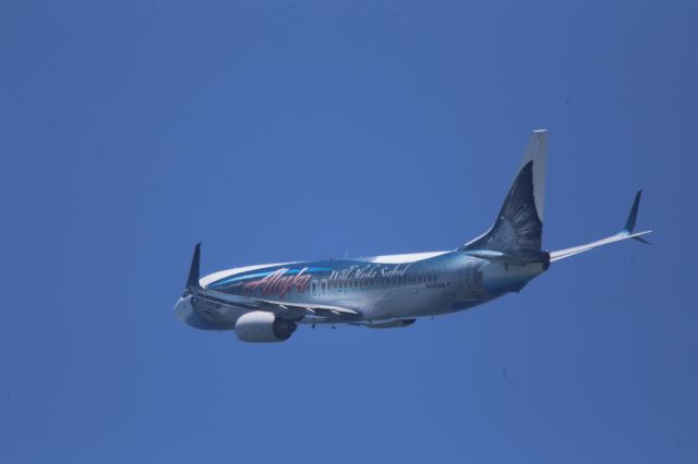 Boeing 737-800 (N559AS)