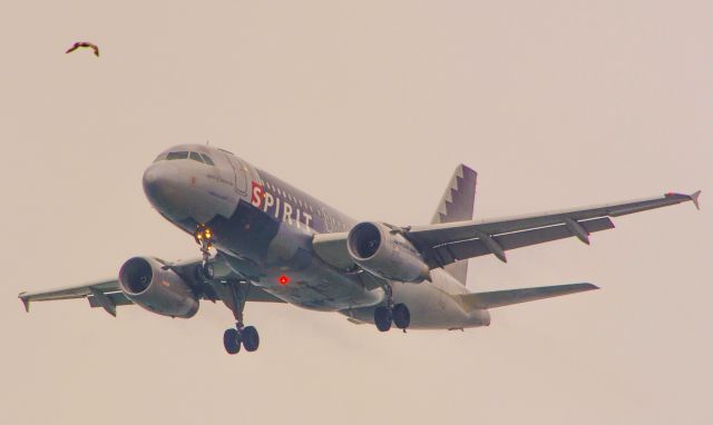 Airbus A319 (N524NK) - Spirit of Suncatcher on final to BOS.