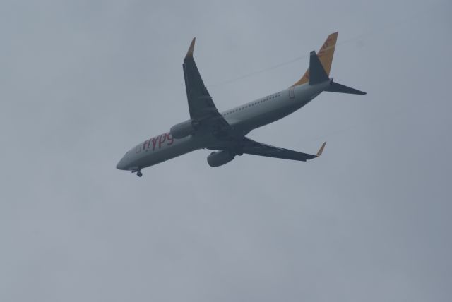 Boeing 737-800 (TC-ASP) - B737-8HX cn39262 on final rwy18R EHAM 17-07-2012