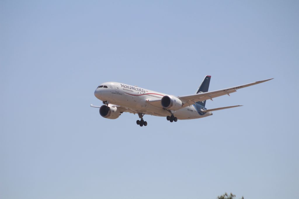Boeing 787-8 (XA-AMR) - FINAL APPROACH 27