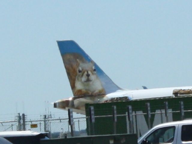 Airbus A320 (N146FR) - The Squirrel A320