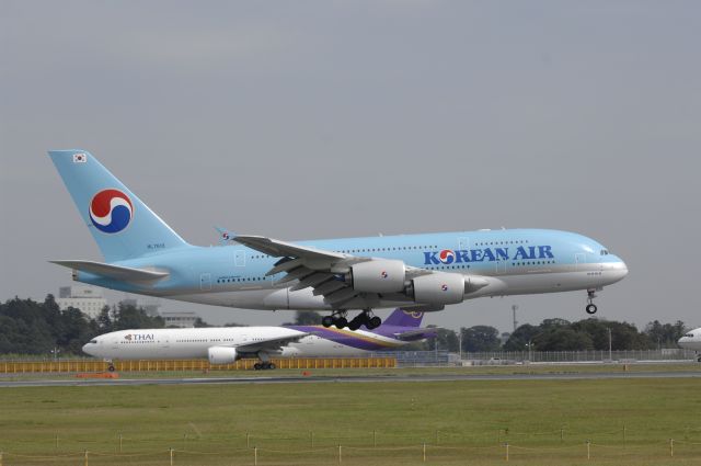 Airbus A380-800 (HL7613) - Landing at NRT Airport Runway 16R on 2011/10/8