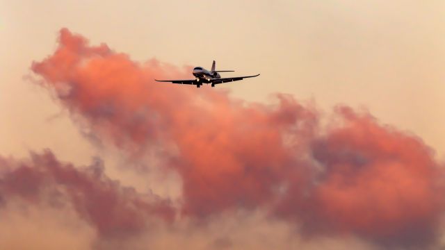 Cessna Citation Latitude (CS-LTA)