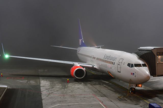 Boeing 737-800 (LN-RRF) - SAS Scandinavian Airlines Boeing 737-85P(WL) LN-RRF in Oslo Gardermoen Airport