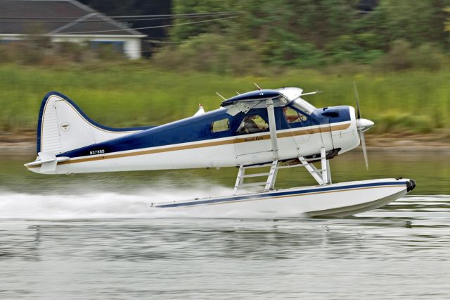 De Havilland Canada DHC-2 Mk1 Beaver (N378BD)