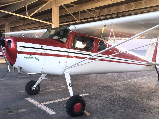 Cessna 140 (N3015N)