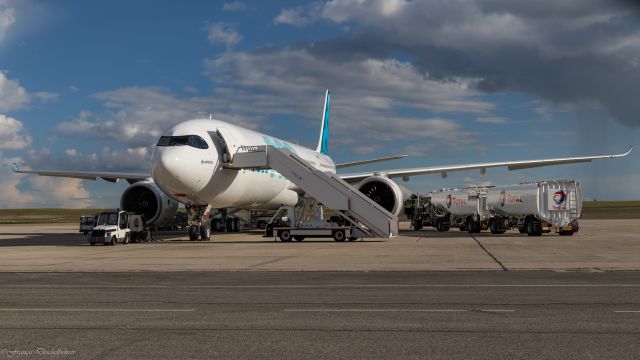 Airbus A330-900 (F-WTTN)