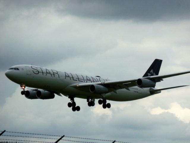 Airbus A340-300 (D-AIFF)