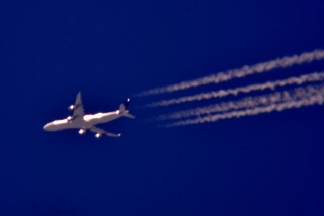 Airbus A340-300 (D-AIFF)