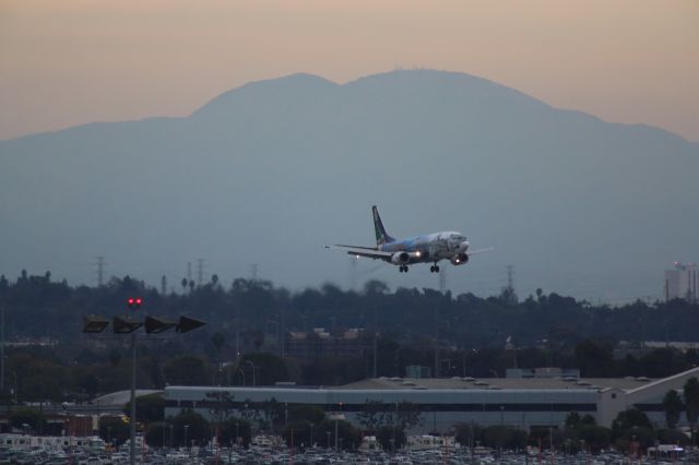 Airbus A340-300 (N705AS)