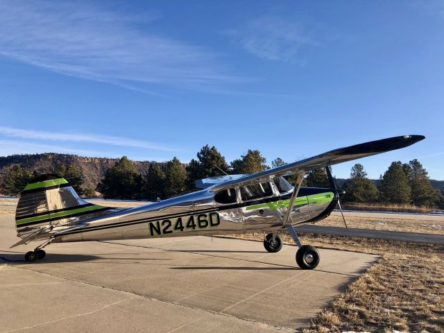 Cessna 170 (N2446D) - Pristine 1952 Cessna 170B 