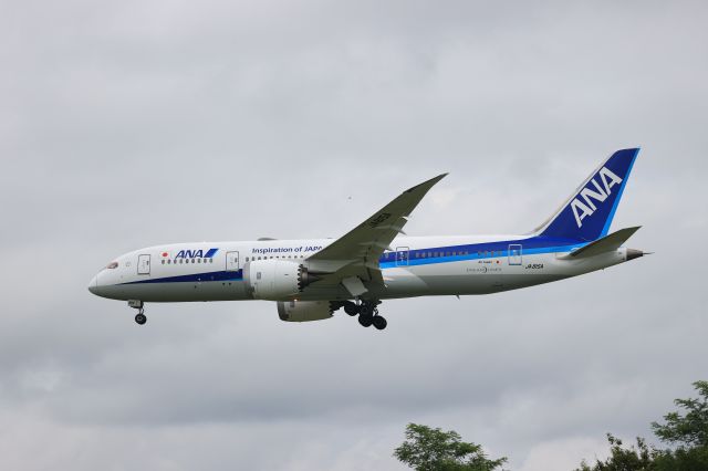 Boeing 787-8 (JA815A) - August 11, 2022:HND-HKD.