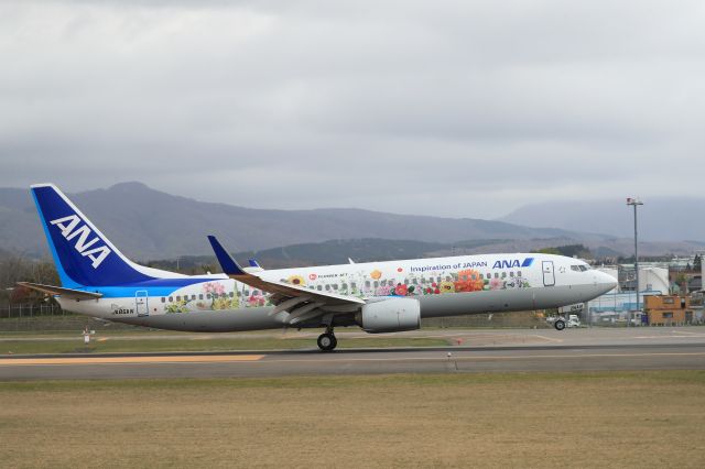 Boeing 737-800 (JA85AN) - May 6th 2020:ITM-HKD.