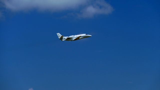 Cessna Citation V (N562JL)