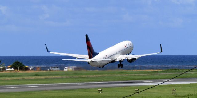 Boeing 737-800 (N3736C)