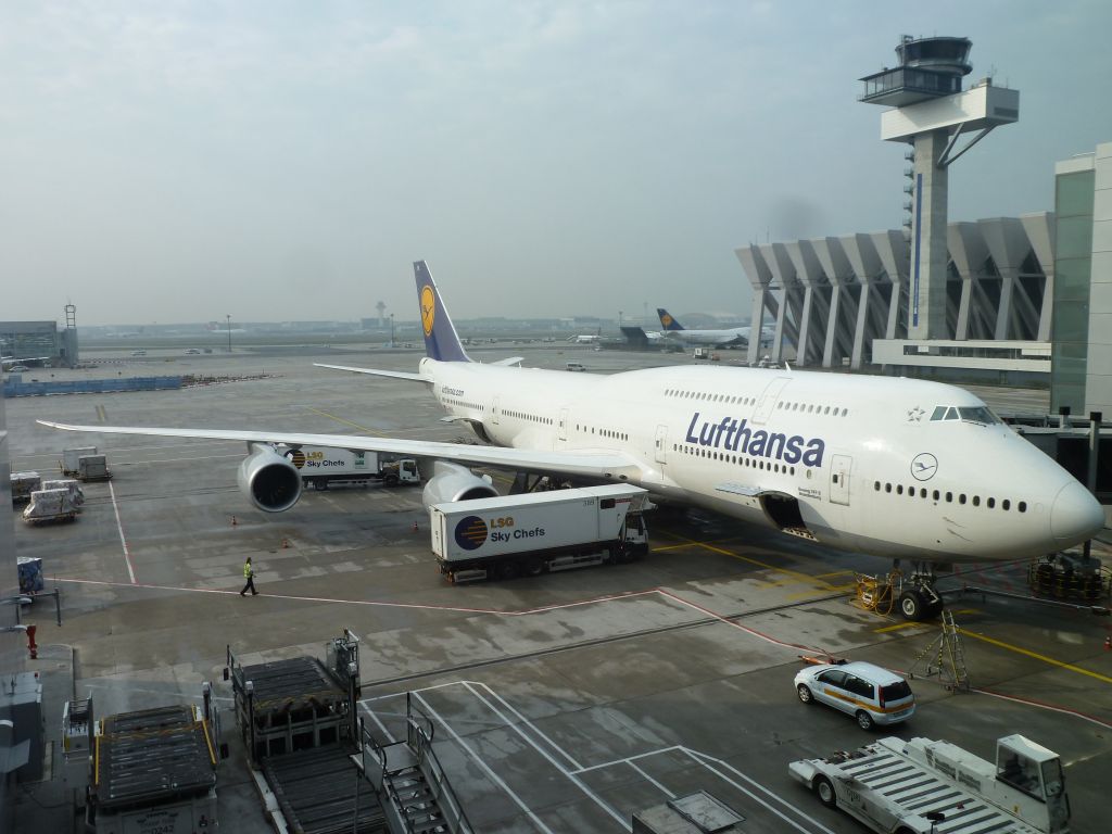 Airbus A340-600 (DLH456)