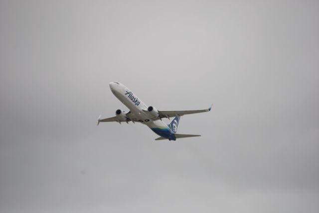 Boeing 737-900 (N309AS)