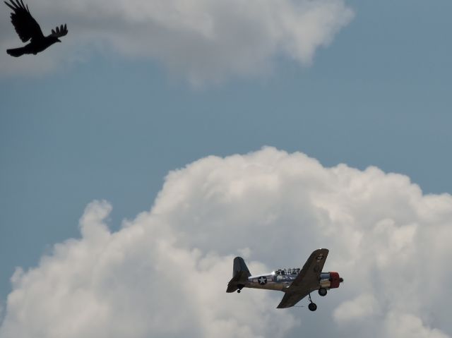 VULTEE Valiant (N69041) - Picture taken from a park near Flying Cloud Airport during Wings of The North Air Expo 7/24/2022. with crow