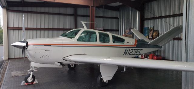 Beechcraft 35 Bonanza — - The ever-so-lovely Echo Charlie!