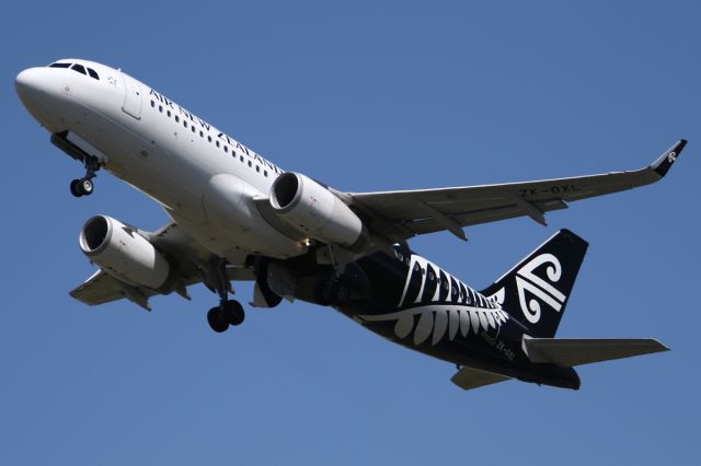 Airbus A320 (ZK-OXL) - on 20 November 2016