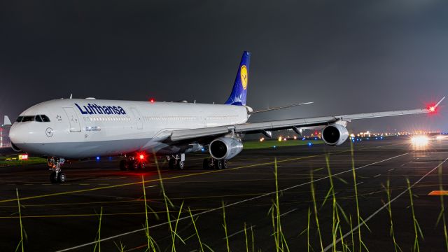 Airbus A340-300 (D-AIGZ)