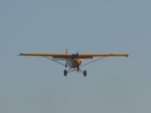 Piper L-21 Super Cub —