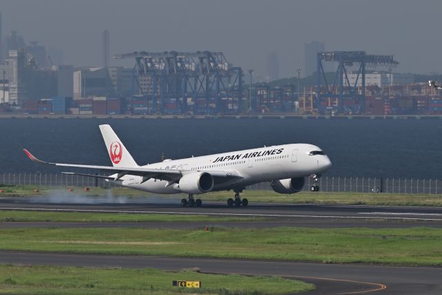 Airbus A350-900 (JA02XJ) - 07.Jul.2024br /JAPAN AirLines Airbus A350(JA02XJ)br /Randing at RWY16L(C)
