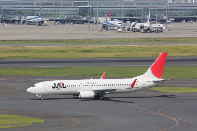 Boeing 737-800 (JA309J)