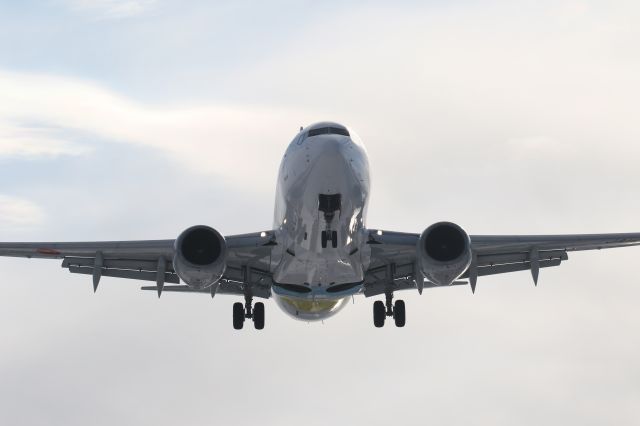 Boeing 737-700 (JA12AN) - 02 March 2016:HND-HKD.