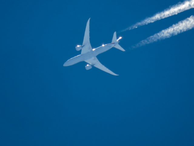 Boeing 787-8 (N815AA)
