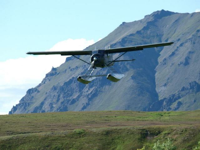 De Havilland Canada DHC-2 Mk1 Beaver — - Papa Bear beaver landing at Kisaralik Lake, east of PABE.